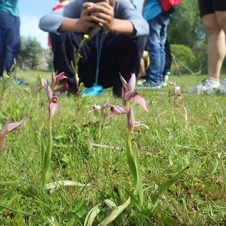 Casa Côa - Casas De Villar - Rural Experience Vilar de Amargo