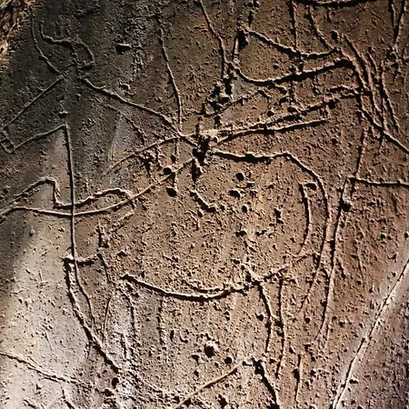 Casa Côa - Casas De Villar - Rural Experience Vilar de Amargo