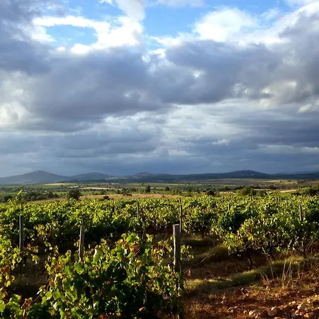 Villa Casa Côa - Casas De Villar - Rural Experience *