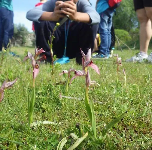 Casa Coa - Casas De Villar - Rural Experience Vilar de Amargo