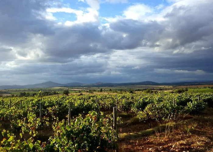 Willa Casa Coa - Casas De Villar - Rural Experience *